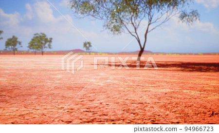 cracked sand in the summer with the sun cracked sand in the summer with the sun 94966723
