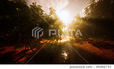 Sunrise with sunbeams through the forest by the lake Sunrise with sunbeams through the forest by the lake 94966733