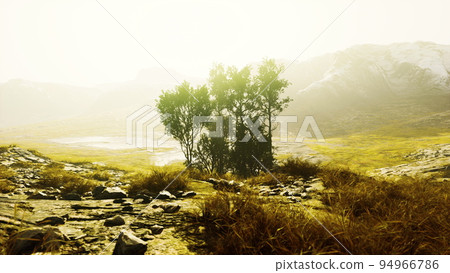 Scenic landscape with steep cliffs and trees during a sunny day Scenic landscape with steep cliffs and trees during a sunny day 94966786