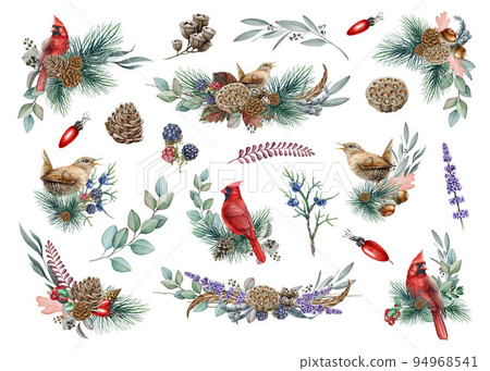 Wintertime floral decor set with birds. Watercolor illustration. Hand drawn vintage style cozy winter decoration set. Red cardinal bird, wren, pine branches, eucalyptus, lavender, berries Wintertime floral decor set with birds. Watercolor illustration. Hand drawn vintage style cozy winter decoration set. Red cardinal bird, wren, pine branches, eucalyptus, lavender, berries 94968541