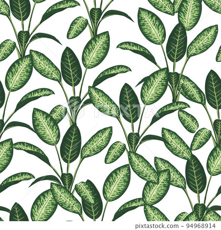 Vector seamless pattern of tropical plants on white background. Repeat tropical backdrop with dieffenbachia branches. Exotic jungle wallpaper 94968914