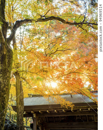 Autumn leaves in Zuihoji Park, Kobe / Zuihoji Park, Japan Autumn leaves in Zuihoji Park, Kobe / Zuihoji Park, Japan 94969514