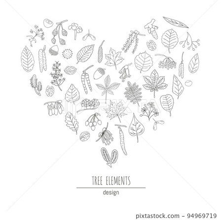 Vector set of black and white tree elements isolated on white background framed in heart shape. Line drawing of birch, maple, oak, rowan, chestnut, hazel, linden, alder, aspen, elm, poplar, willow, Vector set of black and white tree elements isolated on white background framed in heart shape. Line drawing of birch, maple, oak, rowan, chestnut, hazel, linden, alder, aspen, elm, poplar, willow, 94969719