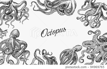 Sea octopus Background. Engraved hand drawn in old sketch, vintage creature. Nautical or marine Sea octopus Background. Engraved hand drawn in old sketch, vintage creature. Nautical or marine 94969765
