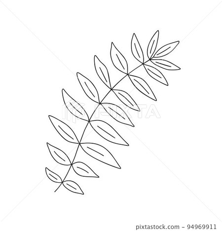 Outline plant decorative branch with leaves and berries for home decor, Christmas, New Year festive holiday arrangement, vector illustration for seasonal greeting card, invitation, banner 94969911