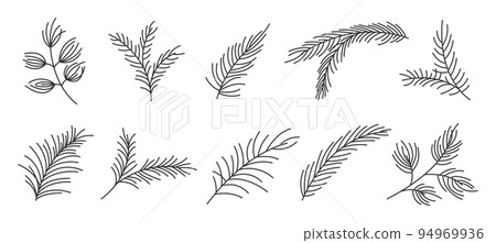 Fir branch variety shape evergreen plant black line set. Spruce fir pine larch cedar winter forest green needlewood holiday xmas tree design element greeting card banner editable stroke isolated Fir branch variety shape evergreen plant black line set. Spruce fir pine larch cedar winter forest green needlewood holiday xmas tree design element greeting card banner editable stroke isolated 94969936