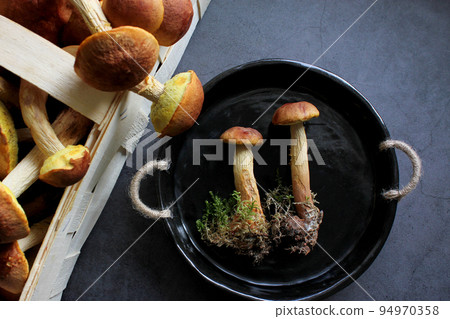 Aureoboletus projectellus mushrooms on dark background. Autumn concept. 94970358