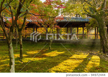 京都東山的秋天，紅葉東福寺（清晨特別觀賞），通天橋 94972444