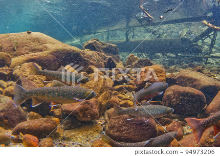 Miyabe Wana in Lake Shikaribetsu Miyabe Wana in Lake Shikaribetsu 94973206