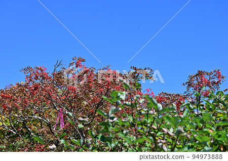 Autumn leaves of Mt. Yakeishi reflected in the blue sky 94973888