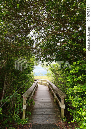 Entrance to Pa-Hay-Okee boardwalk over sawgrass prairie in Everglades. Entrance to Pa-Hay-Okee boardwalk over sawgrass prairie in Everglades. 94974234