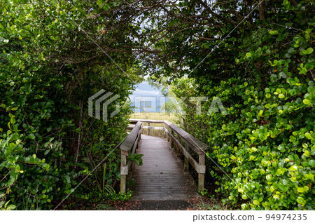 Entrance to Pa-Hay-Okee boardwalk over sawgrass prairie in Everglades. 94974235