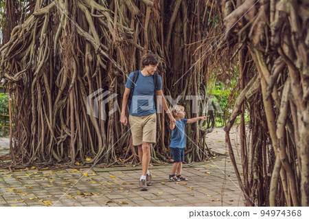 Dad and son in a rainy forest against the background of the roots of a tree Dad and son in a rainy forest against the background of the roots of a tree 94974368