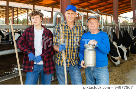 Successful elderly dairy farm owner with son and teen grandson standing in stall with cows 94977807