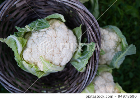 Cauliflower in a basket on a natural green background, space for text, top view 94978690