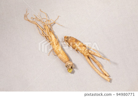 oriental, medicinal root plant, fresh ginseng 94980771