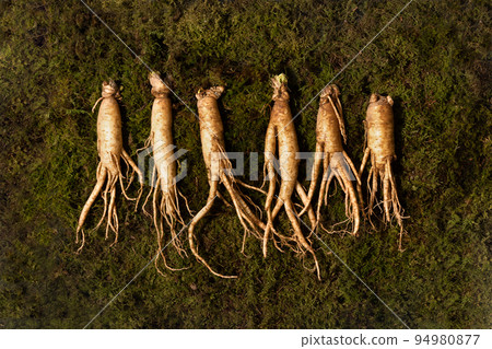 oriental, medicinal root plant, fresh ginseng 94980877