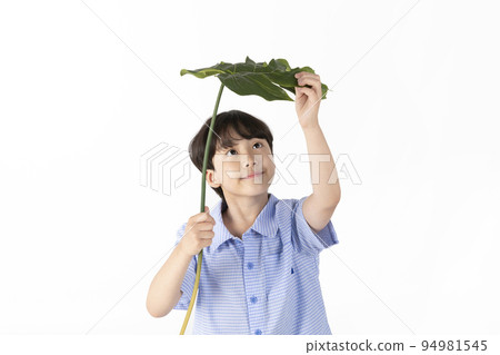 Korean young boy wearing summer blue half sleeve shirt in white background studio_holding tropical leaves Korean young boy wearing summer blue half sleeve shirt in white background studio_holding tropical leaves 94981545