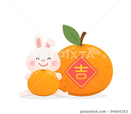Cute rabbit character or mascot with tangerine, chinese new year, year of the rabbit, vector cartoon style Cute rabbit character or mascot with tangerine, chinese new year, year of the rabbit, vector cartoon style 94984263