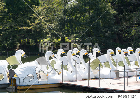 Swan boat on Inokashira Pond Swan boat on Inokashira Pond 94984424