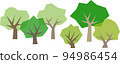 Hardwood forest 94986454