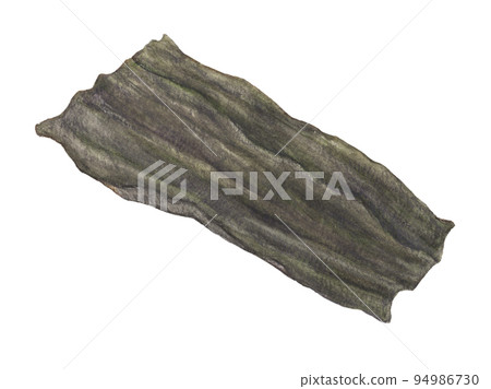 Kombu drawn with watercolor pencils Transparent background 94986730