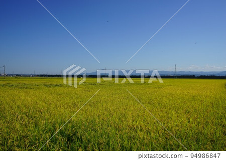 Takizawa paddy field Takizawa paddy field 94986847