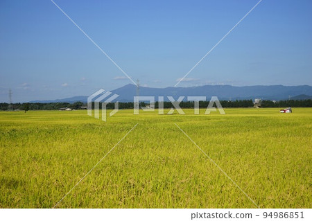 瀧澤水田 94986851