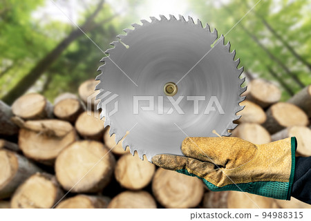 Gloved Hands Holding a Metal Circular Saw Blade - Tree Trunks and Forest on Background Gloved Hands Holding a Metal Circular Saw Blade - Tree Trunks and Forest on Background 94988315