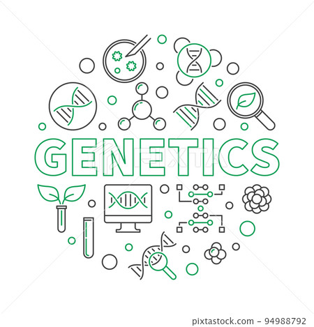 Genetics vector round illustration with DNA line icons 94988792