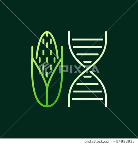 DNA with Corn vector colored linear icon or symbol DNA with Corn vector colored linear icon or symbol 94988933