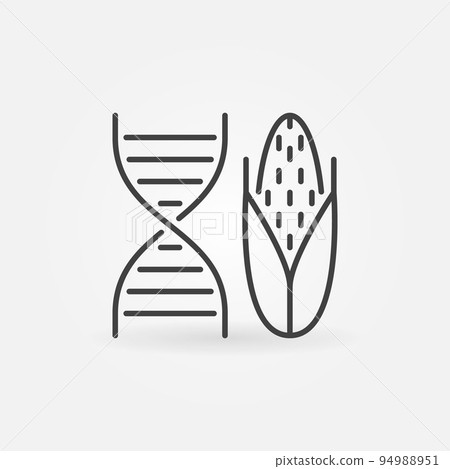 DNA with Corn vector concept icon in outline style 94988951