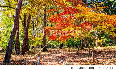 長瀞溪谷(秋季):月之石紅葉公園的紅葉 長瀞溪谷(秋季):月之石紅葉公園的紅葉 94989054