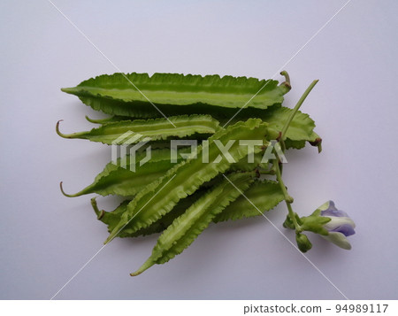 Urizun beans Urizun beans 94989117