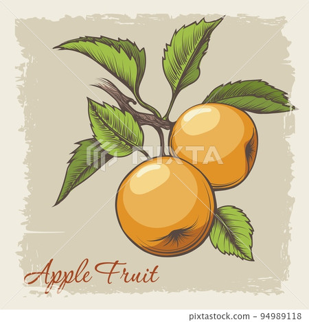 Apple branch retro emblem 94989118