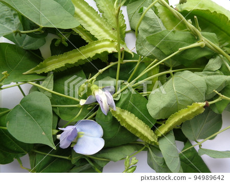 Urizun beans Urizun beans 94989642
