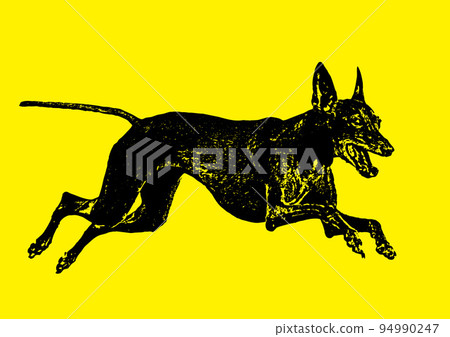 Illustration processed from a photo of a dog Illustration processed from a photo of a dog 94990247