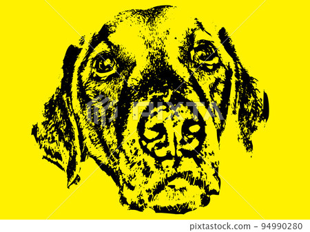 Illustration processed from a photo of a dog Illustration processed from a photo of a dog 94990280