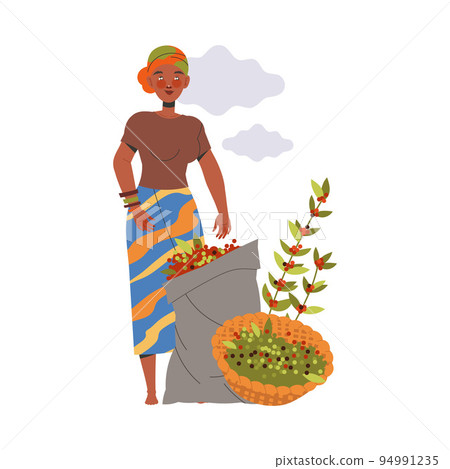 Woman Character Harvesting Coffee Picking Fresh Fruit in Basket Vector Illustration 94991235