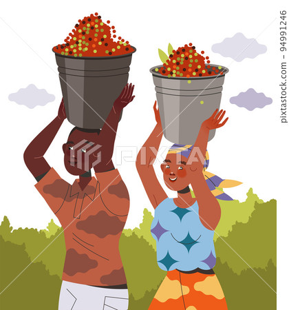 Man and Woman Character Harvesting Coffee Carrying Bucket with Fresh Fruit on Head Vector Illustration Man and Woman Character Harvesting Coffee Carrying Bucket with Fresh Fruit on Head Vector Illustration 94991246