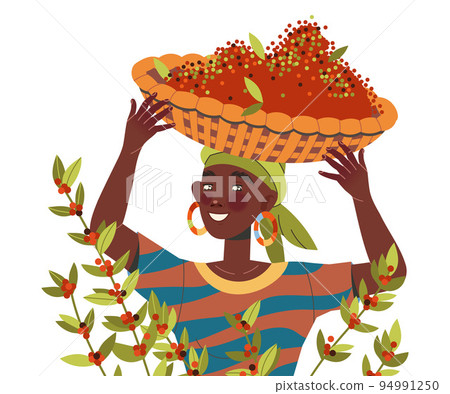 Woman Character Harvesting Coffee Carrying Basket with Fresh Fruit Vector Illustration 94991250