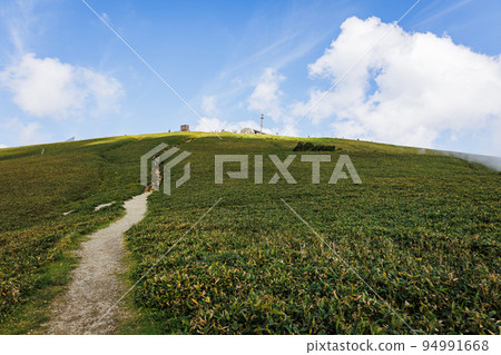 Mount Horai in Otsu City, Shiga Prefecture Mount Horai in Otsu City, Shiga Prefecture 94991668