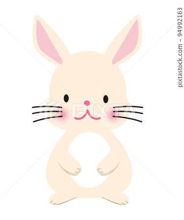 一隻可愛的白兔生肖動物的插圖，兔年，兔年，新年賀卡材料 94992163