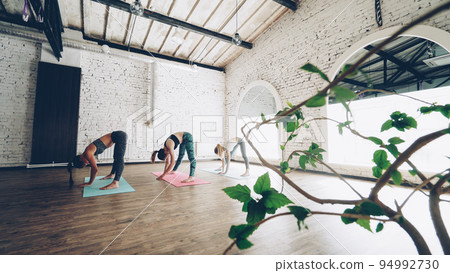 Attractive slim girls are practicing yoga doing sequence of stretching exercises on mats in light wellness center. Healthy lifestyle for modern young women concept. 94992730
