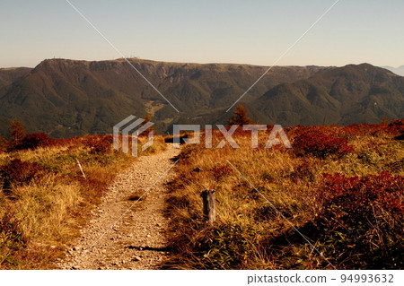 路的前面是郁志原 94993632