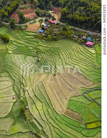 Wat Ban Wen rice fields in Nan province, Thailand Wat Ban Wen rice fields in Nan province, Thailand 94993893