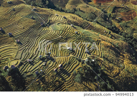 Ban Pa Pong Piang Rice terraces or Baan Pa Pong Pieng in Doi Inthanon national park, Chiang Mai 94994013
