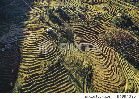 Ban Pa Pong Piang Rice terraces or Baan Pa Pong Pieng in Doi Inthanon national park, Chiang Mai 94994089