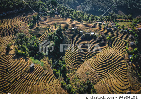 Ban Pa Pong Piang Rice terraces or Baan Pa Pong Pieng in Doi Inthanon national park, Chiang Mai 94994101
