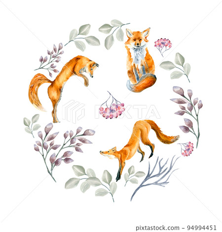 Christmas circle with foxes watercolor illustration isolated on white. Christmas circle with foxes watercolor illustration isolated on white. 94994451